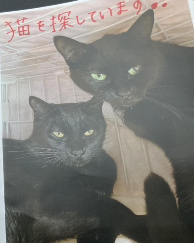 あさげ ゆうげ