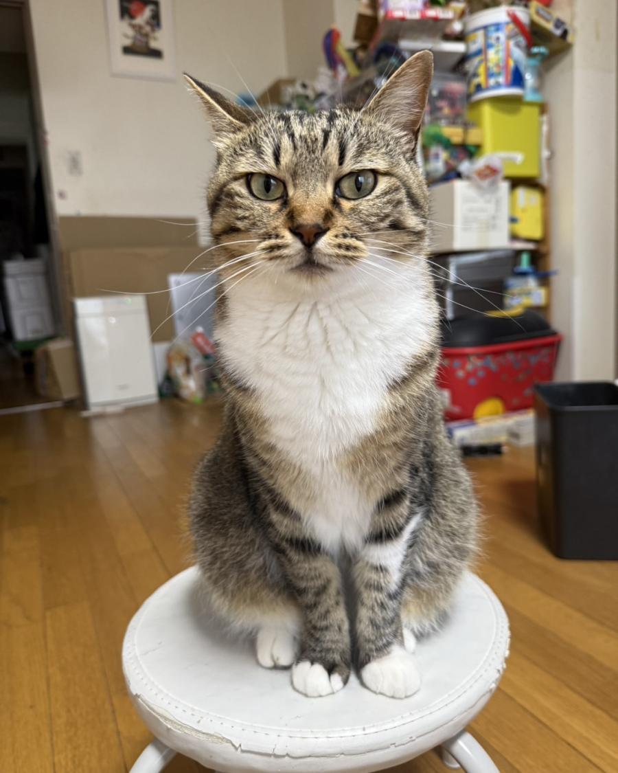 かりん