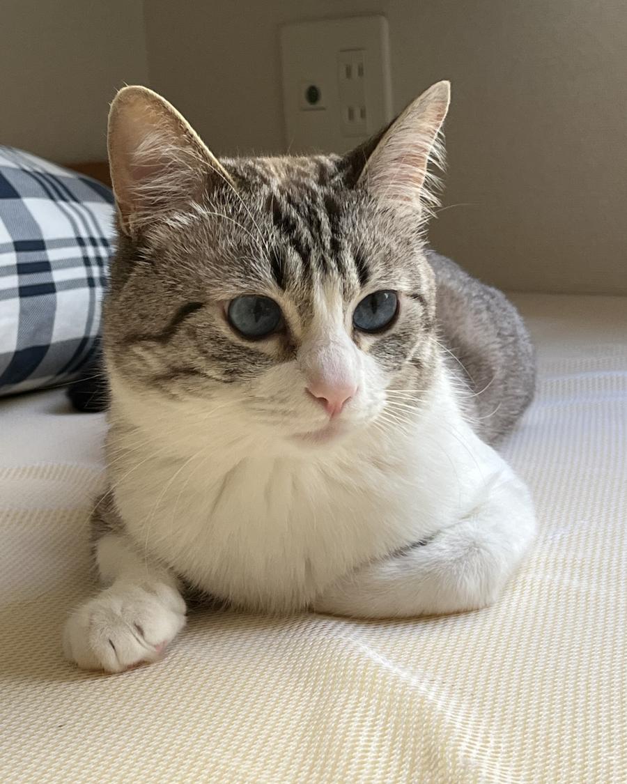 ミユ