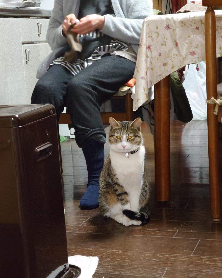 ミー