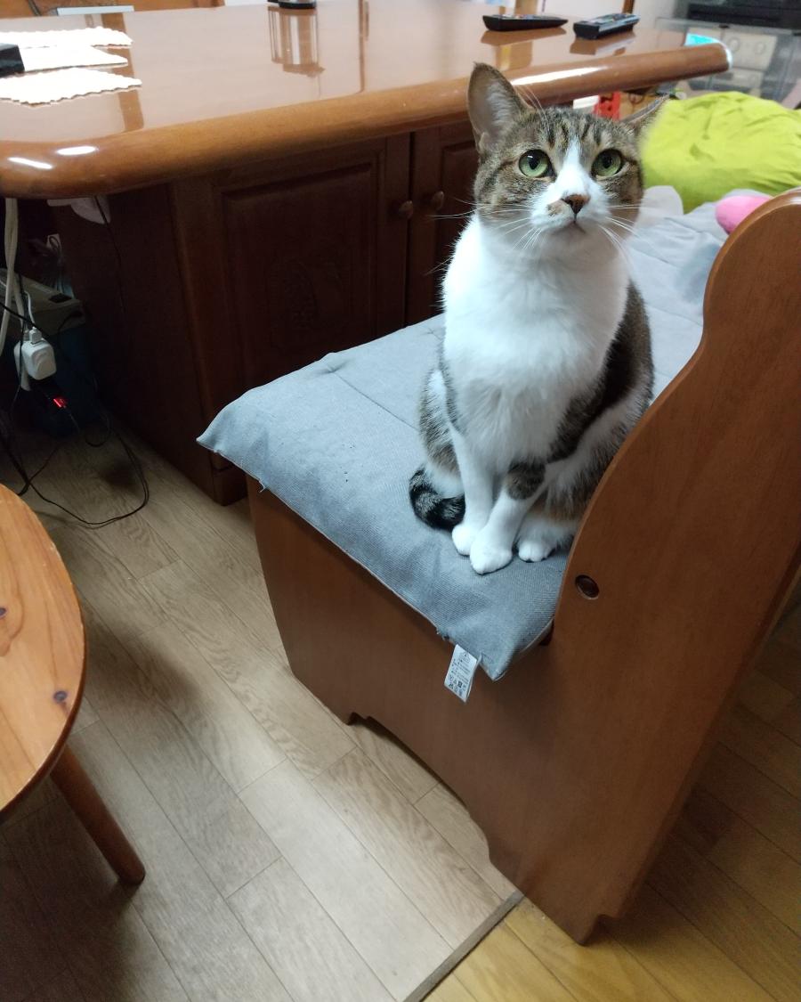 キキ