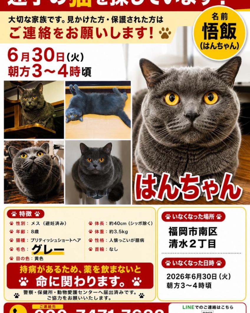 はんちゃん