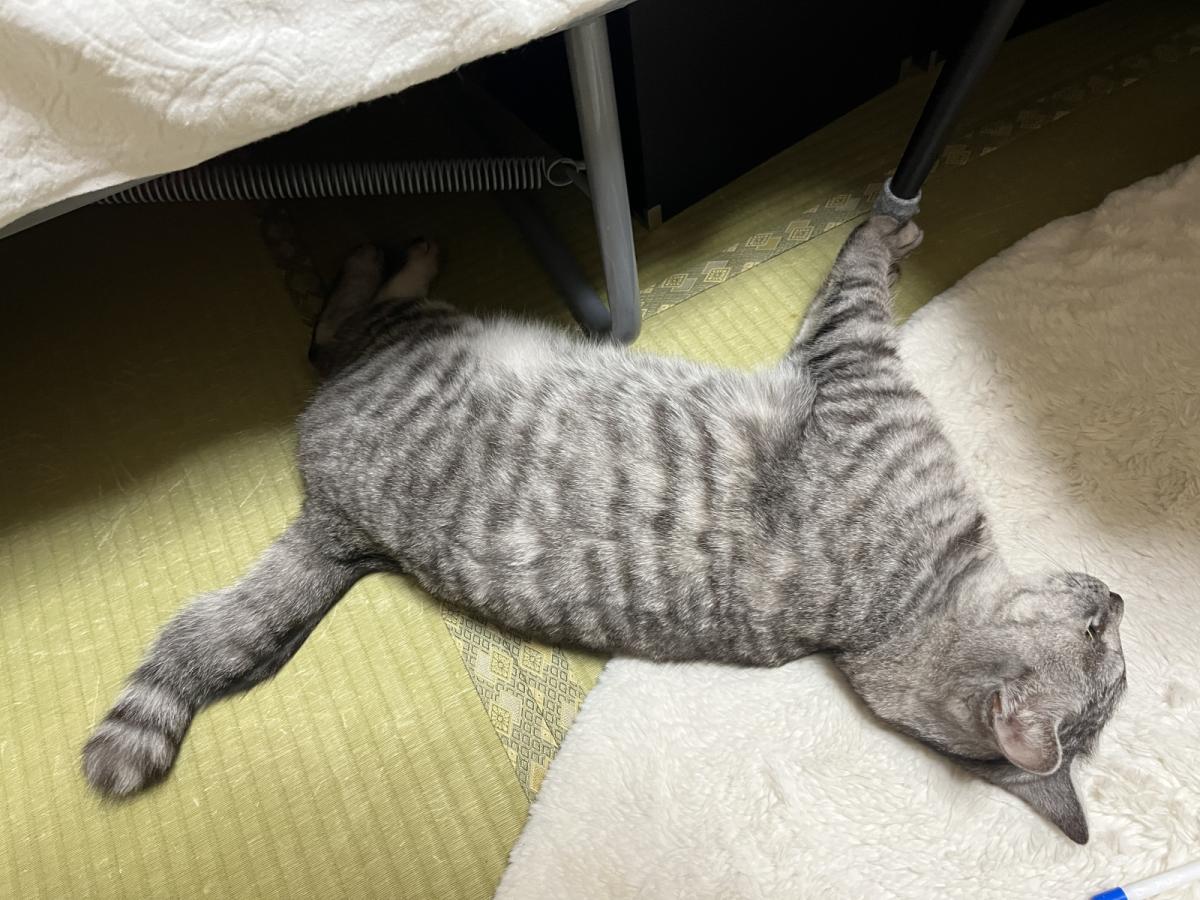 小梅