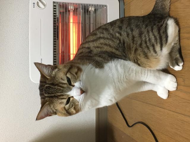 たろう