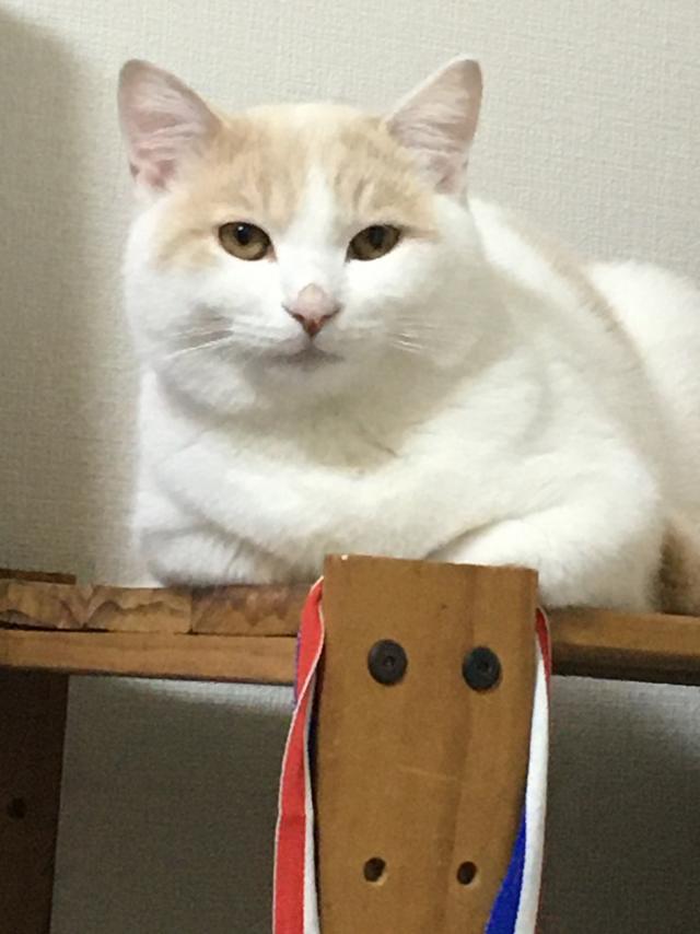 らーちゃん