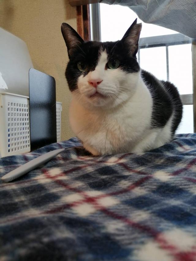 まり