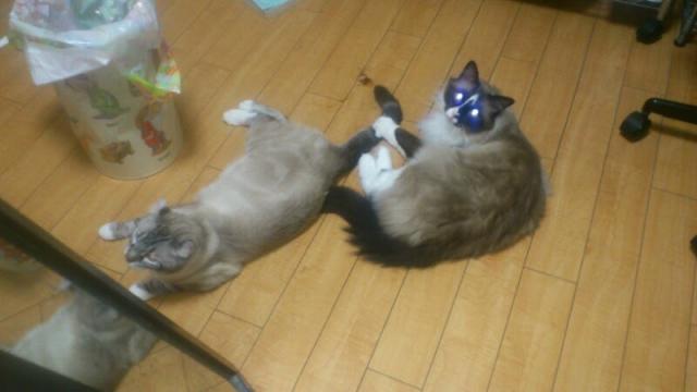 とおま