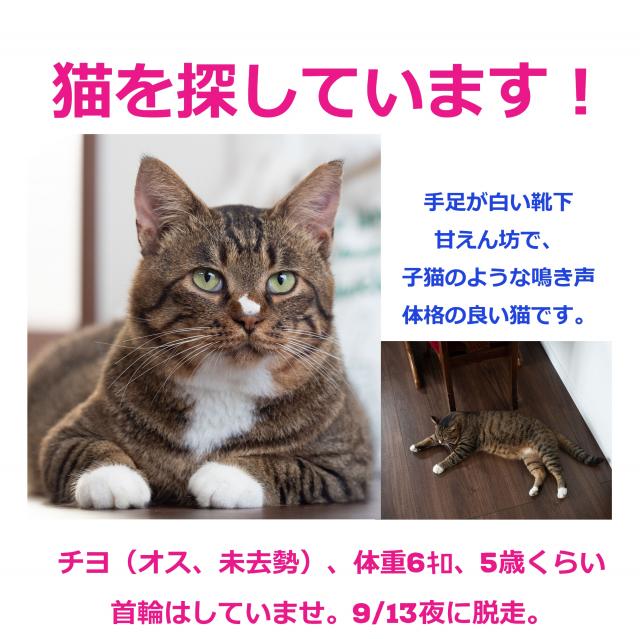 ちよ