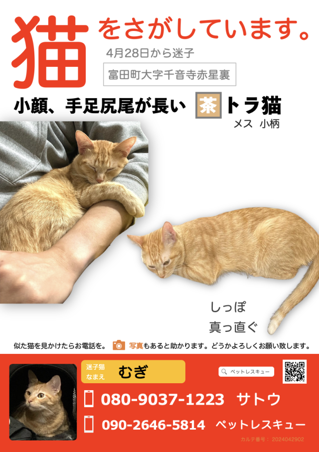 むぎ