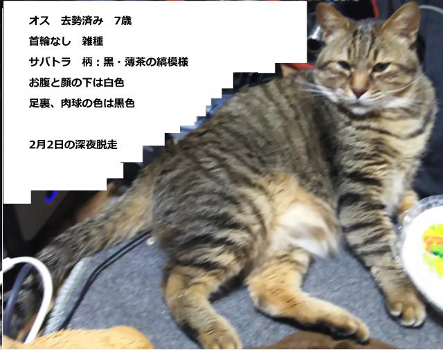 りゅうや