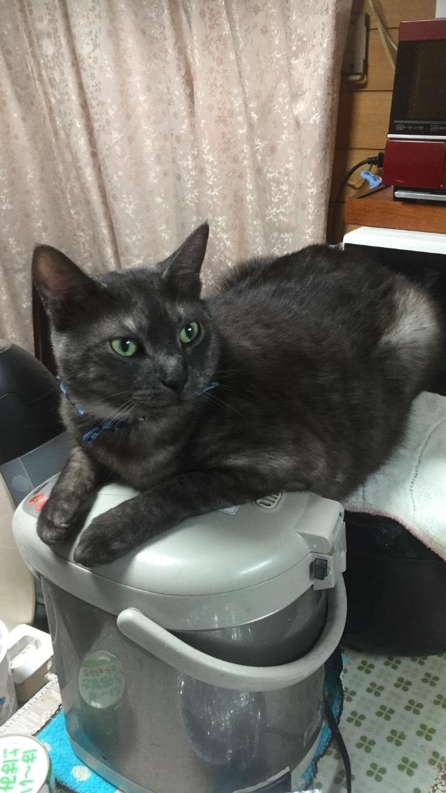 まーくん