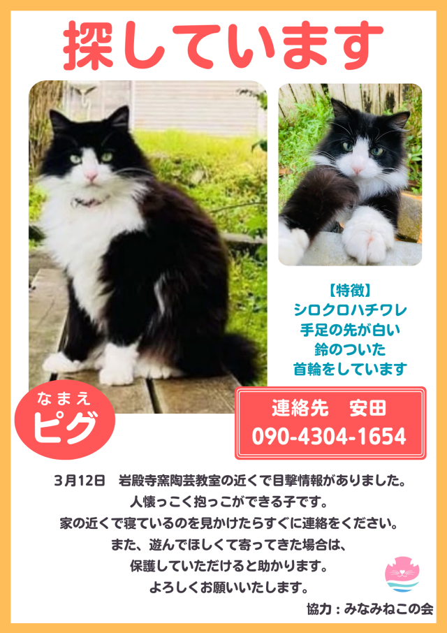 ピグ