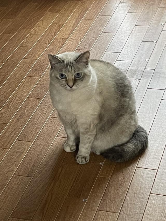 ハンナ