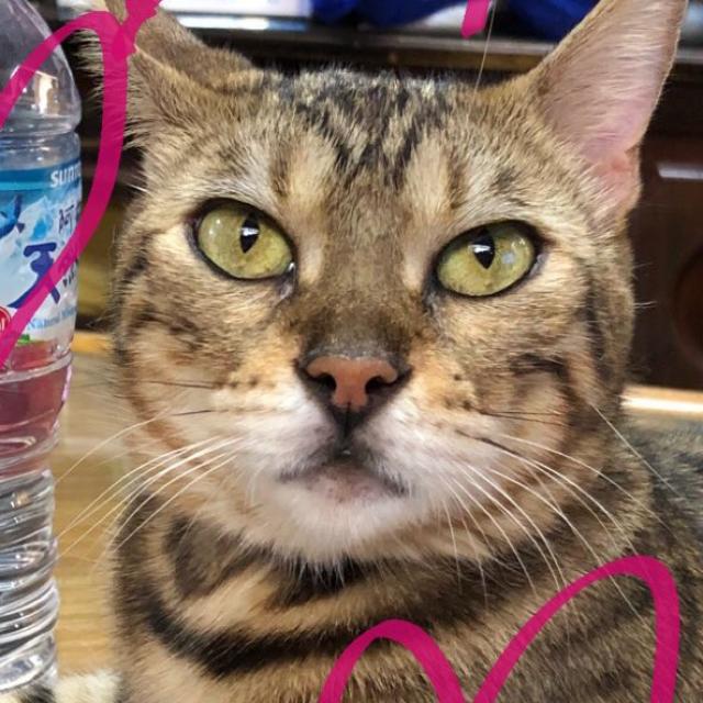 みかん