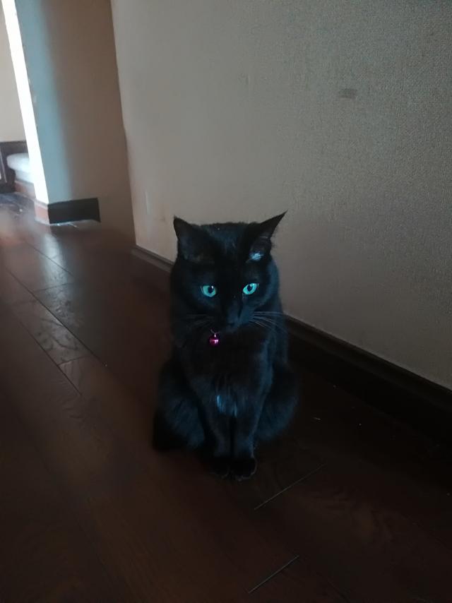 ちょび