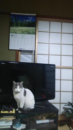 ゆり