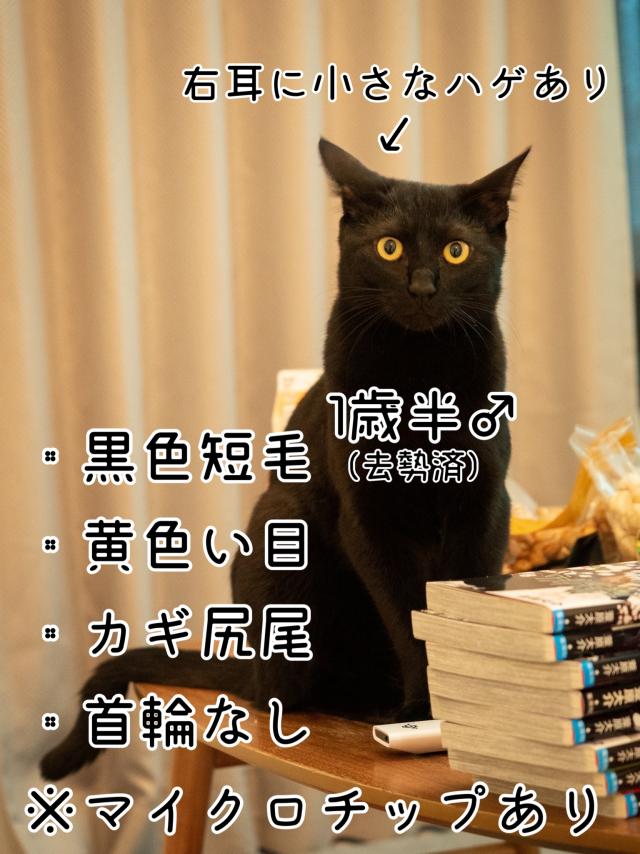 クロ