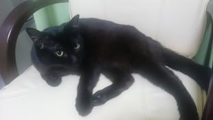 きのこ
