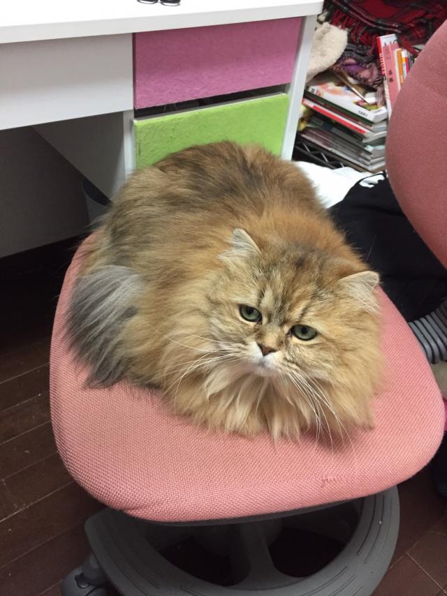 らん
