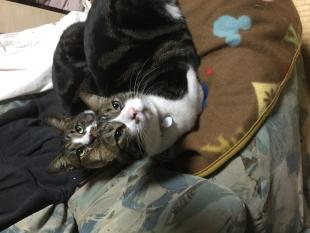 ソラ