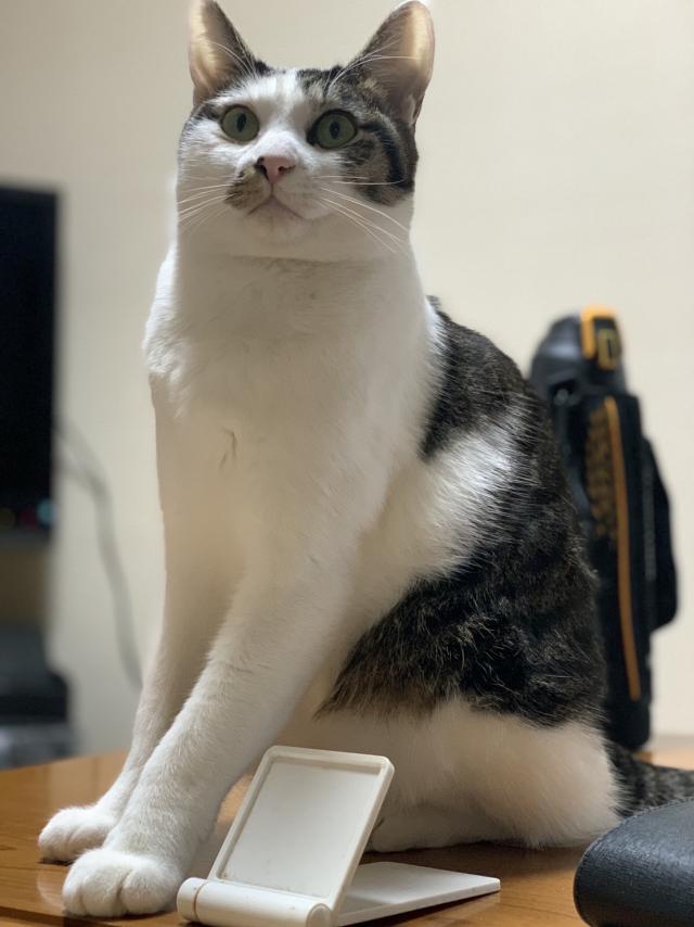 ぎん