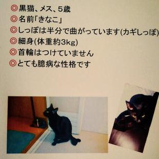 きなこ