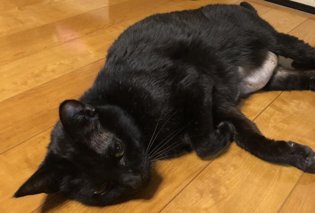 クロ