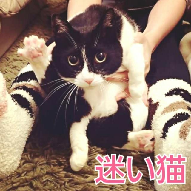 マネ