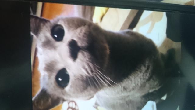 まんくん