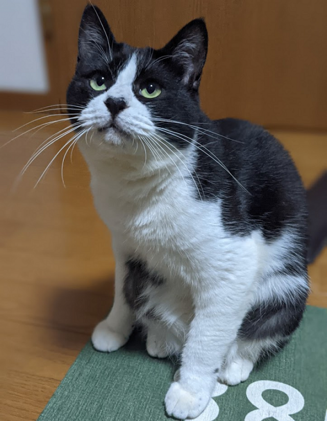 いくら