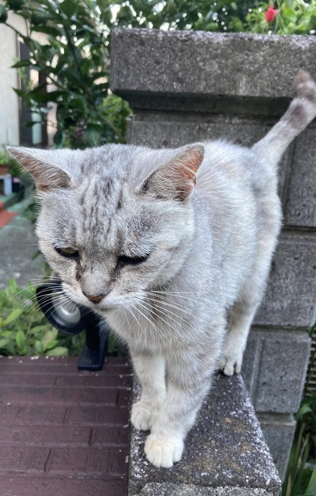 ここ