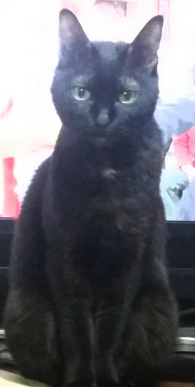 メル