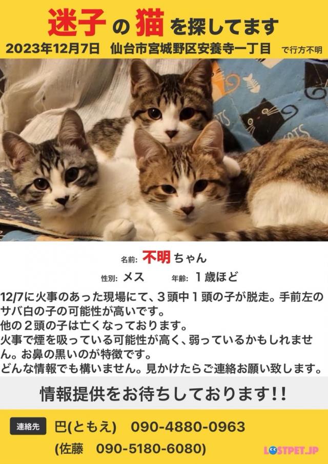 不明