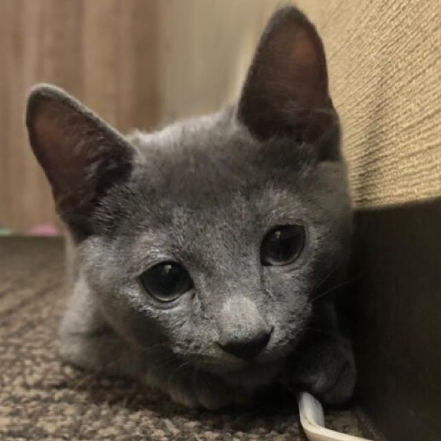 そら