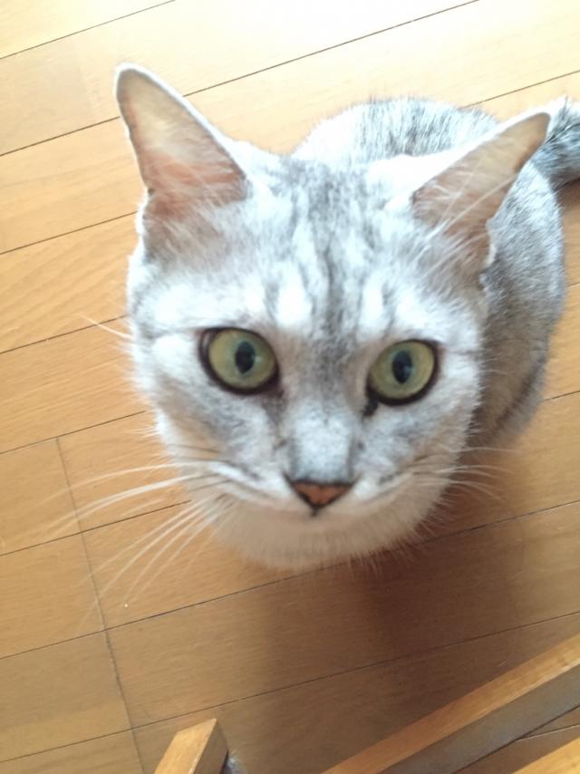 マリー