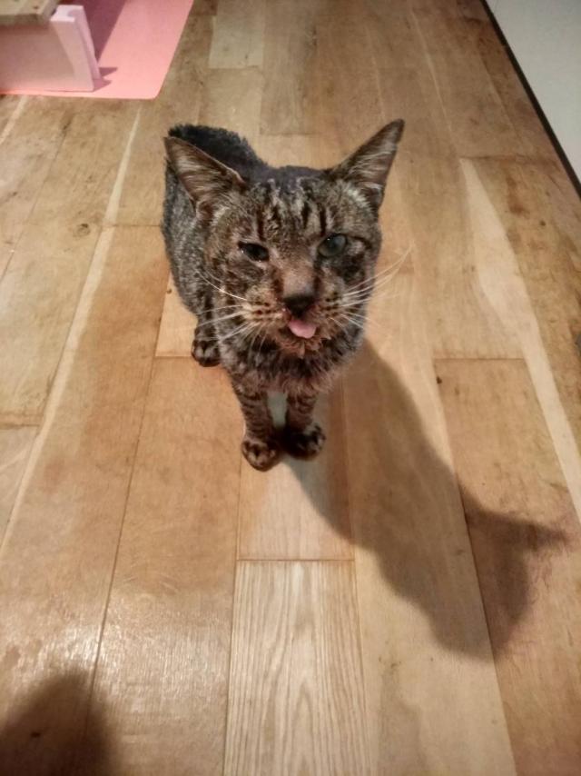 かん