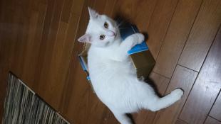 ミル