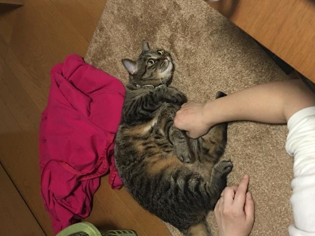 みらい