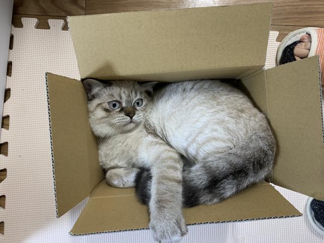 パン