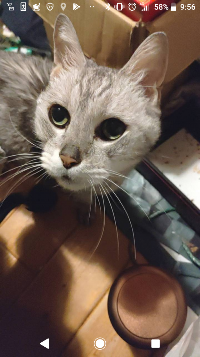 るう