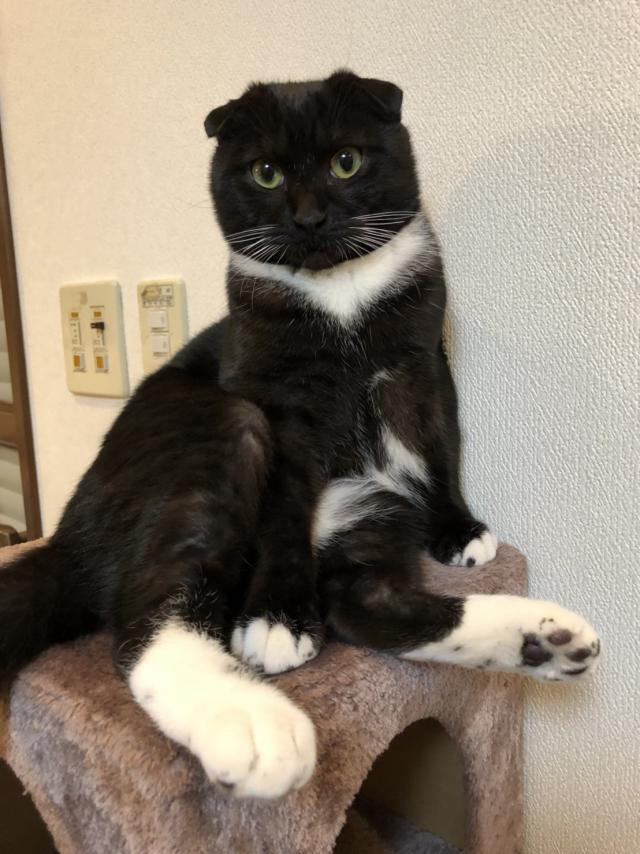 りく