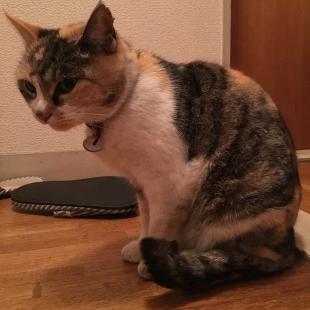 みるく