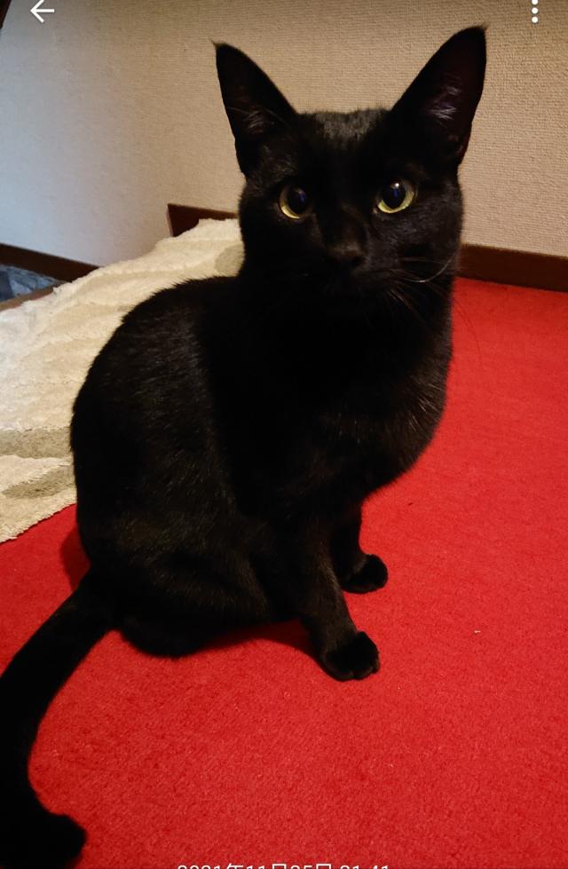 キキ