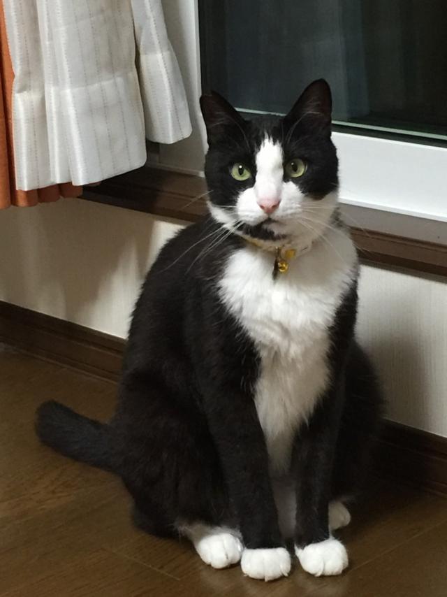 くう