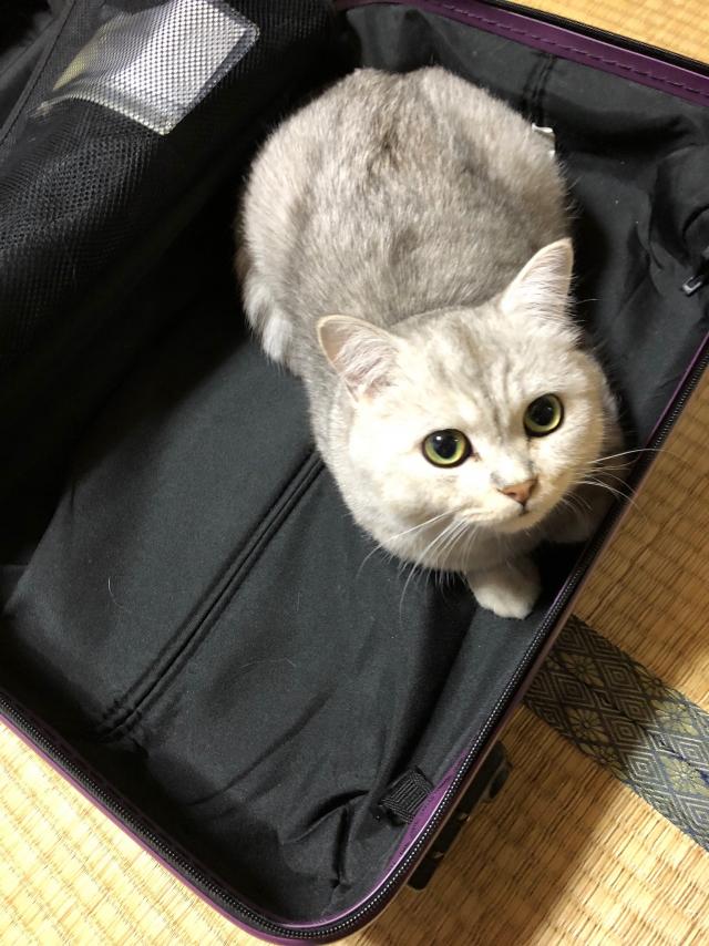 レオ