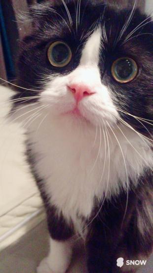 チル