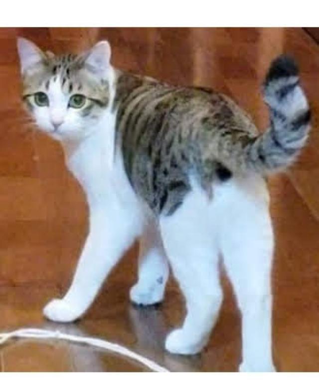 くーた