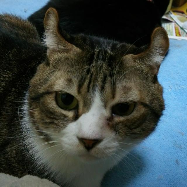 まーくん