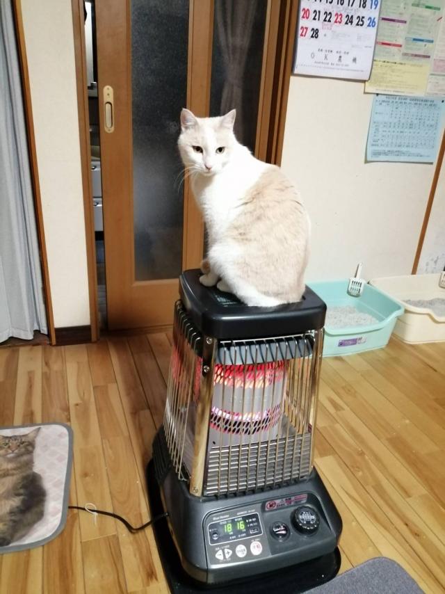 こじろう