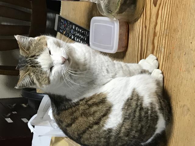 ミー